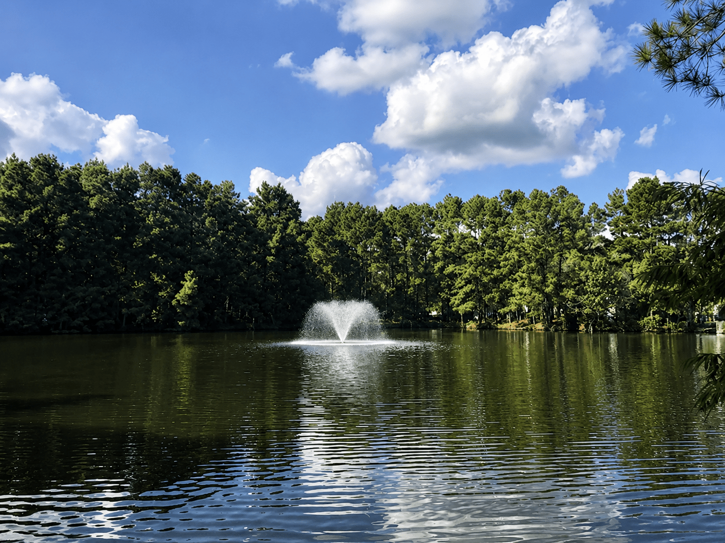Lone Star Lakes RV Park RV park in New Caney, TX (photo 2)